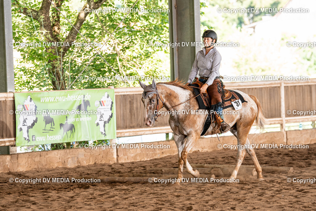 Erbach Tag 1-0945 | dv-media-shop - Realisiert mit Pictrs.com