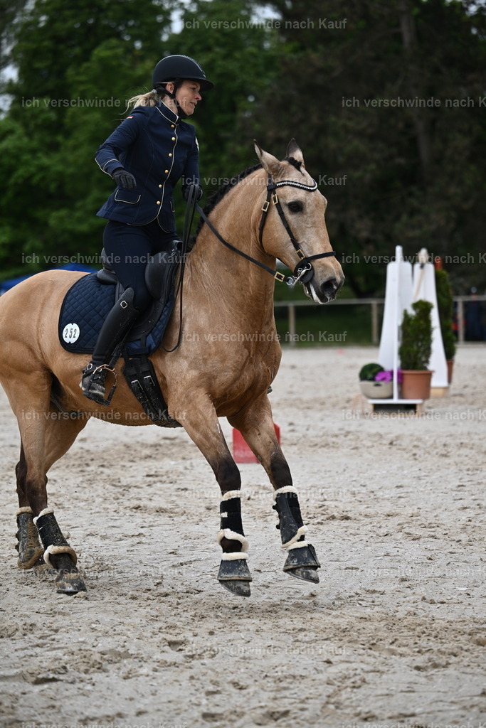 PI26_SP_Sara_Landvogt_226_4820.JPG | working equitationturnier fotograf videograf stoibphotography marixx film working equitation deutschland reitsport turnierfotografie eventfotografie equestrian events