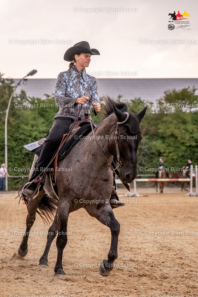 LMB03370 | BS-foto