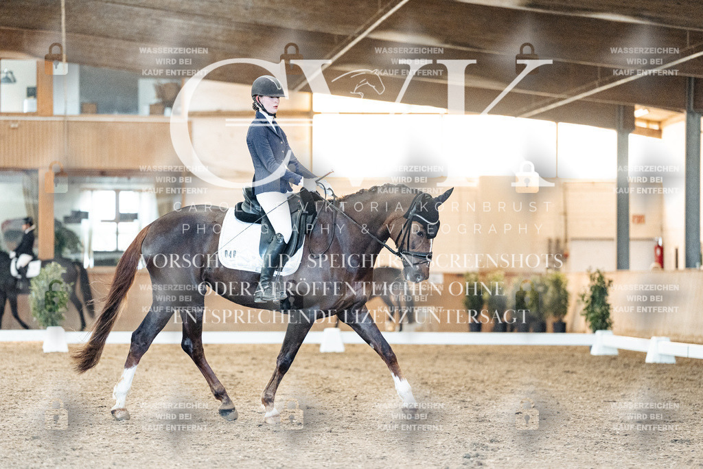 CK906832 | Turnierfotografie Pferdefotografie Trier Rheinland-Pfalz Pferdesport Reitsport Tierfotografie Sportfotografie Pferdevideo Pferdevideografie Equestrianvideography equestrianphotography  - Realisiert mit Pictrs.com