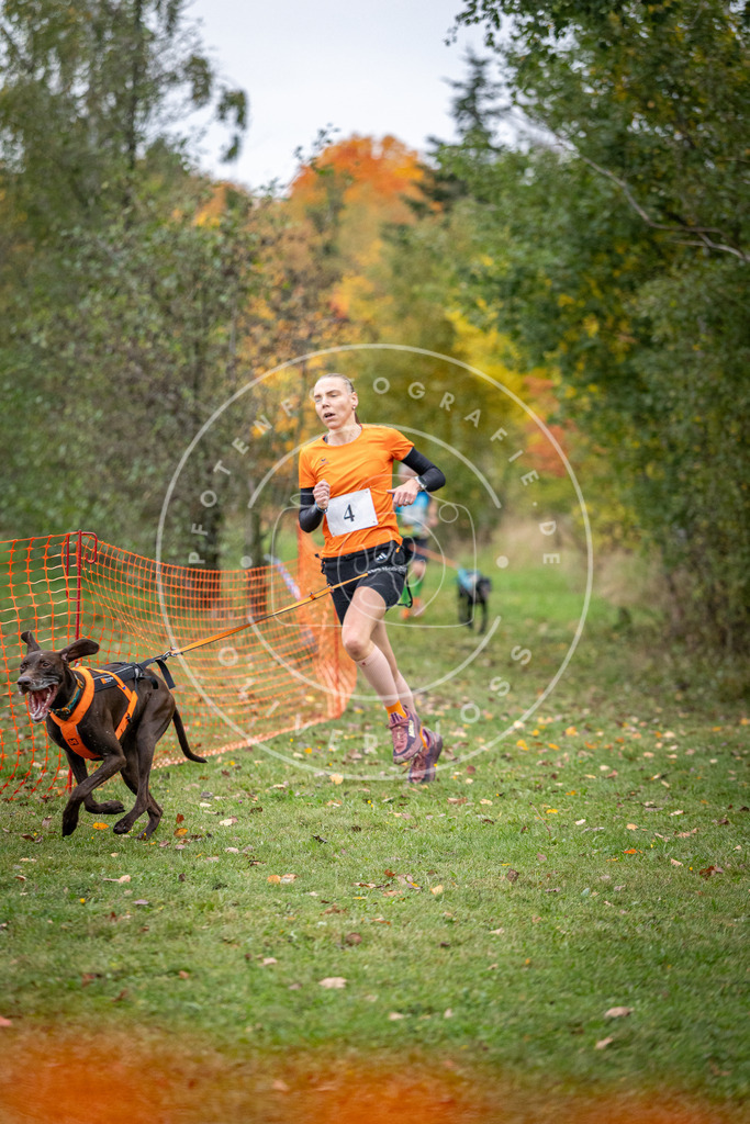 Pfotenfotografie_DV3A1687 | Hundefotografie, Tierfotograf, Pfotenfotografie, Fotoshooting Hund, Hunde Portrait, Hundesport, Hundeportraits, Heideshooting, Hunde, Sportfotograf, Hundefotograf, Turnierhundsport, THS,  - Realisiert mit Pictrs.com