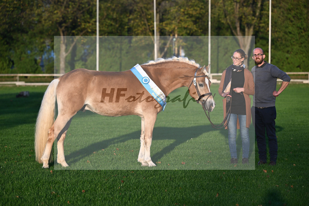 Kat-Nr. 6 Solero-D_Mahlknecht_44241165 | hf-fotografie - Realisiert mit Pictrs.com