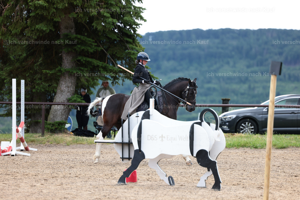 KlasseL_Stoibphotography_CAM23650.JPG | working equitationturnier fotograf videograf stoibphotography marixx film working equitation deutschland reitsport turnierfotografie eventfotografie equestrian events
