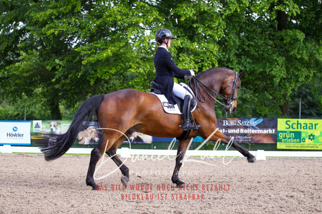 DKP41700 | Deine Turnierfotos vom Reitturnier online kaufen: Dressur, Springen & Siegerehrung. Professionelle Pferdefotografie aus dem Rheinland – als Download & Print.Alternative: Turnierfotograf für den Pferdesport: Finde deine Fotos von Dressur- und Springturnier