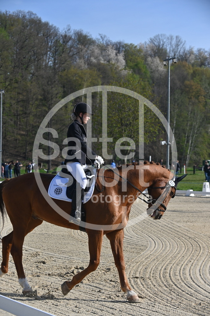 DSC_9906 | sattelsport - Realisiert mit Pictrs.com