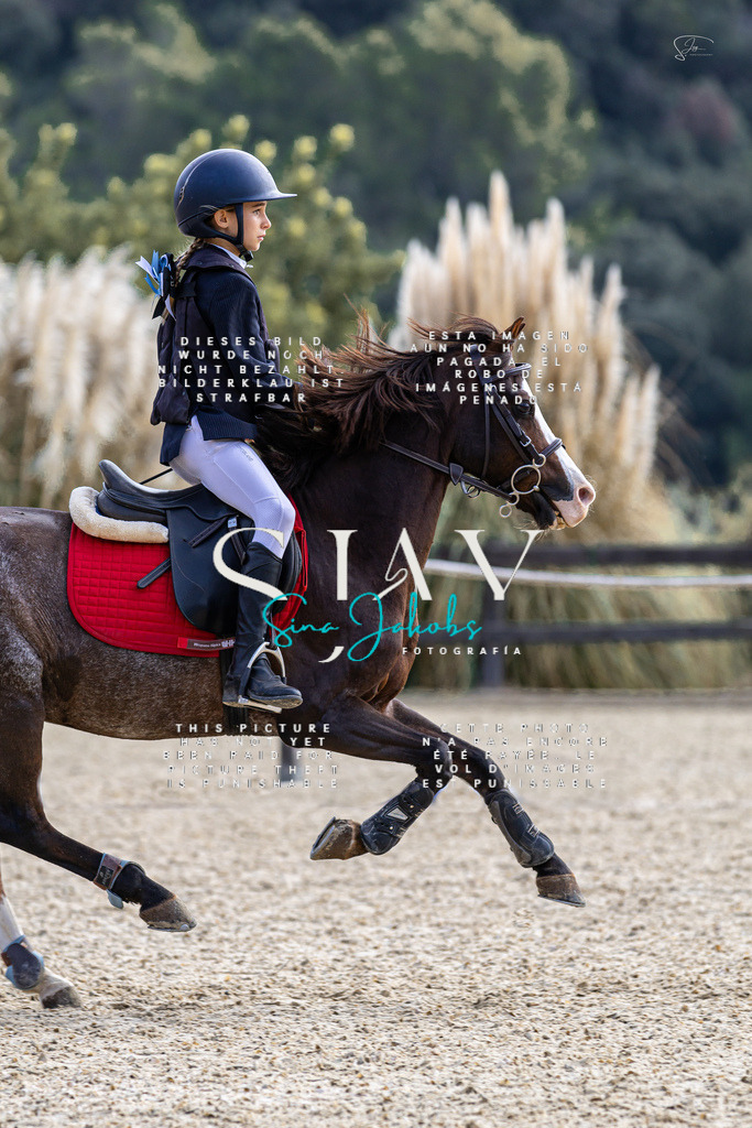 IMG_5696 | s-jay-photography - Realisiert mit Pictrs.com