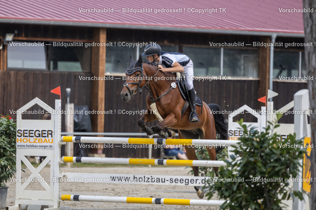 _D5A1458 | Emotionale Pferde- & People-Fotografie rund um Heidelberg, Leimen & Umgebung. Natürliche Fotos von Pferd, Mensch & Familie. Jetzt Termin sichern!