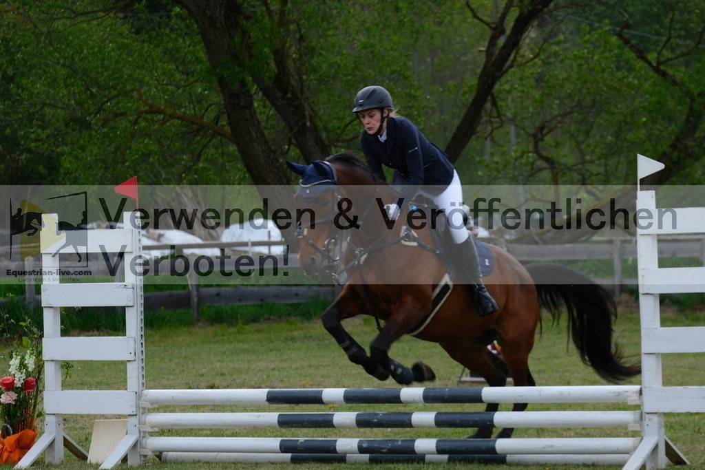 DSCF3803 | equestrian-live-com