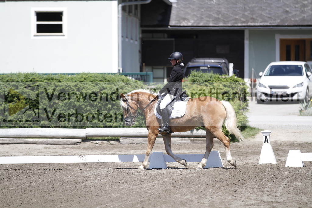 _MG_3789 | equestrian-live-com