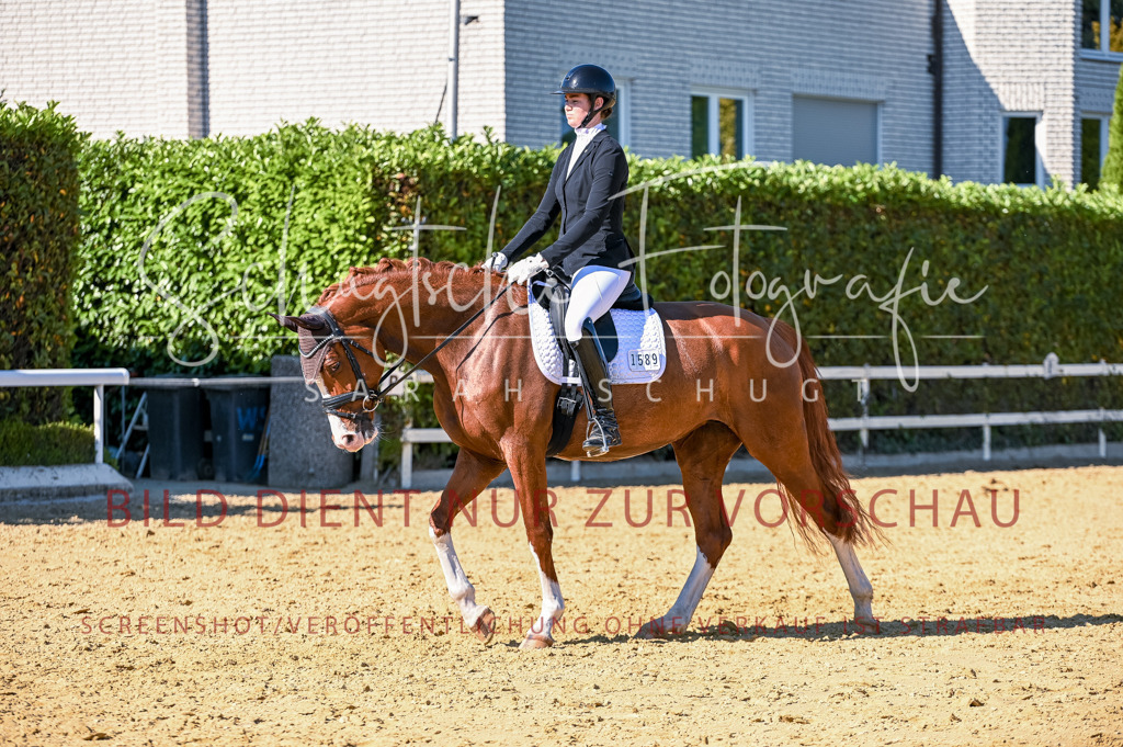 Schugtsche-Aluta25-50.Dressurpferdeprf.L-271 | Schugtsche Fotografie - Realisiert mit Pictrs.com