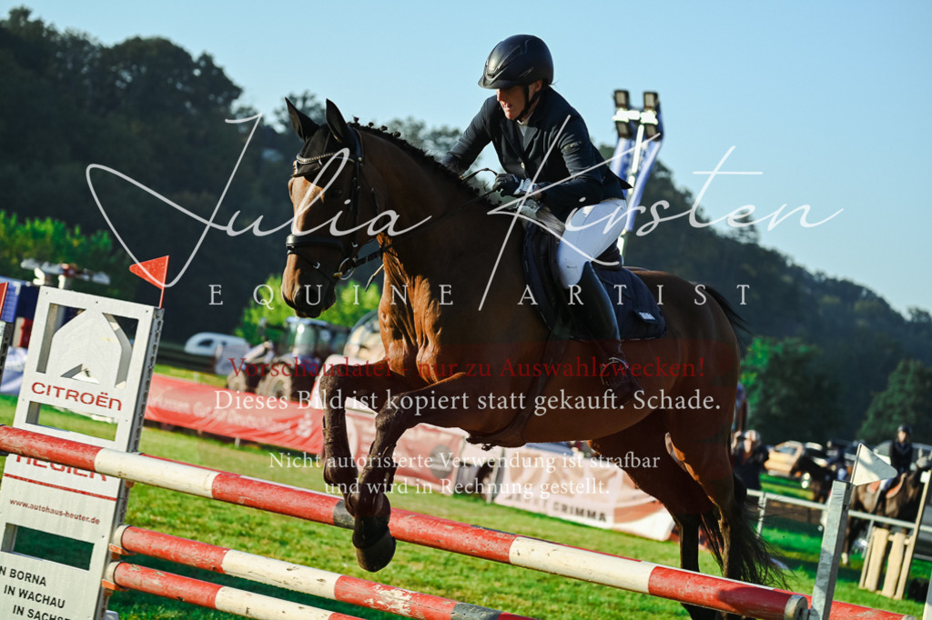 DSC_3853 | Pferde- und Turnierfotografie in Westsachsen. Pferdeportraits, Auftragszeichnungen und intuitive Kunst.