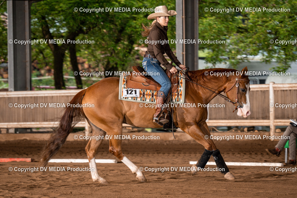 Erbach Tag 2-284 | dv-media-shop - Realisiert mit Pictrs.com