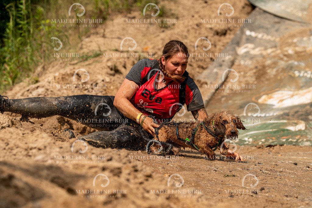 madeleinebirr.fotografie.2026.CC-hoope.samstag.14-57-03.299 | hundefotografie-birr