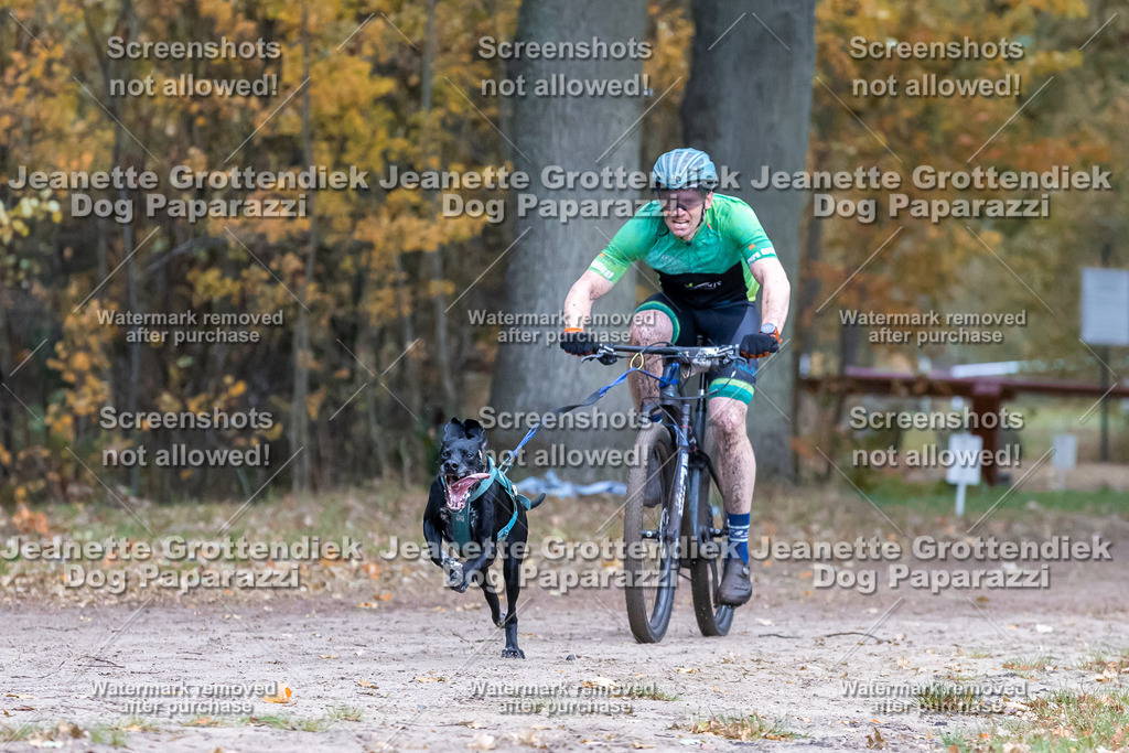 Dog Paparazzi - SD CaniX Championship 2025-208 | Dog Paparazzi Jeanette Grottendiek Fotografie & Videografie - Realisiert mit Pictrs.com