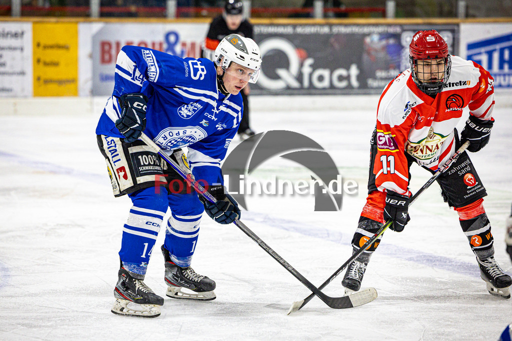 SC Forst NATURE BOYS gegen ESC Hassfurt HAWKS | Eishockey Landesliga Herren Playoffs 2024/25 - Spiel 2 von 4, SC Forst NATURE BOYS gegen ESC Hassfurt HAWKS, 20250222,Max WILLBERG (Nature Boyz 14) in Aktion,2025-02-22 in Peißenberg (Eisstadion Peißenberg)Max WILLBERG (Nature Boyz 14)Copyright: WolfgangxLindner foto-lindner.de