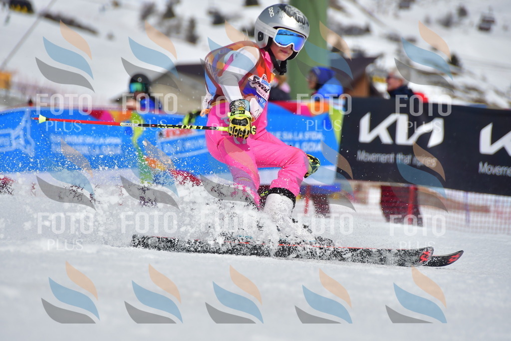 _DSC6803 | holidayphoto