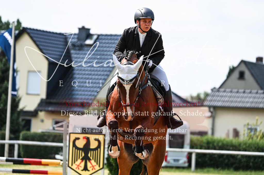 DSC_8696 | Pferde- und Turnierfotografie in Westsachsen. Pferdeportraits, Auftragszeichnungen und intuitive Kunst.