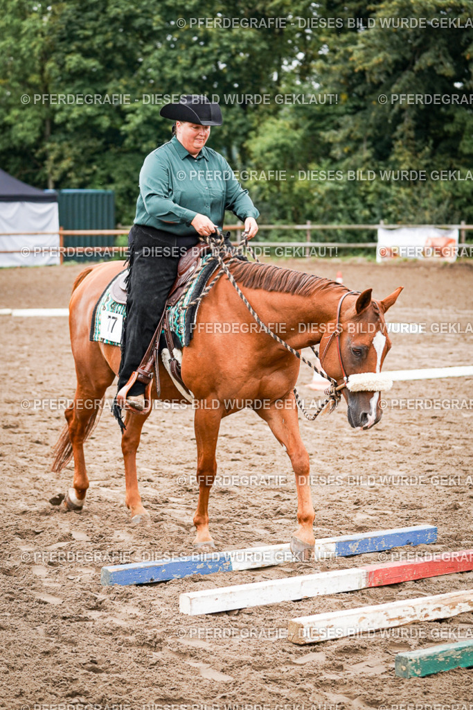 DSC02877 | Pferdegrafie