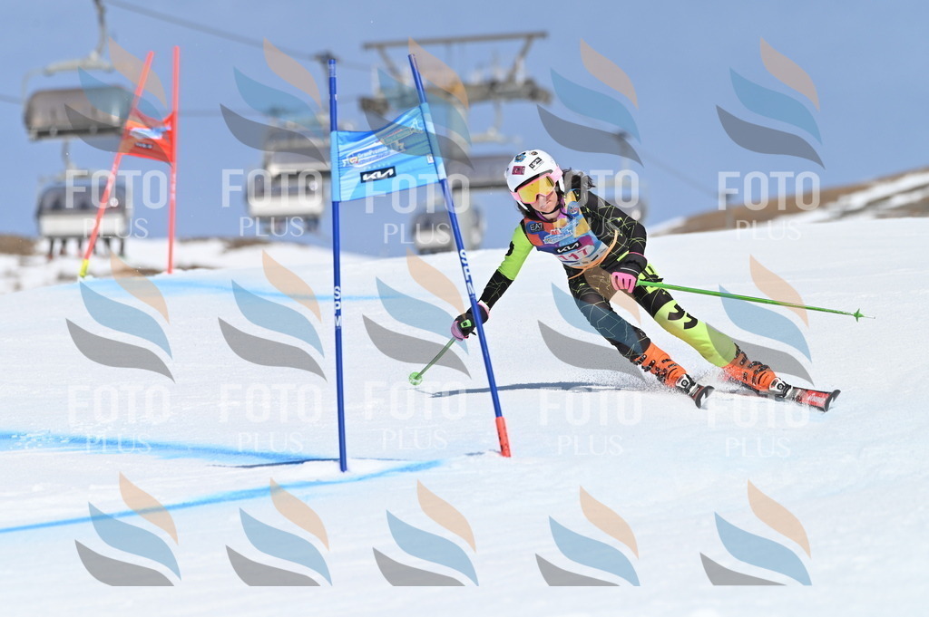 BGV_9754 | holidayphoto