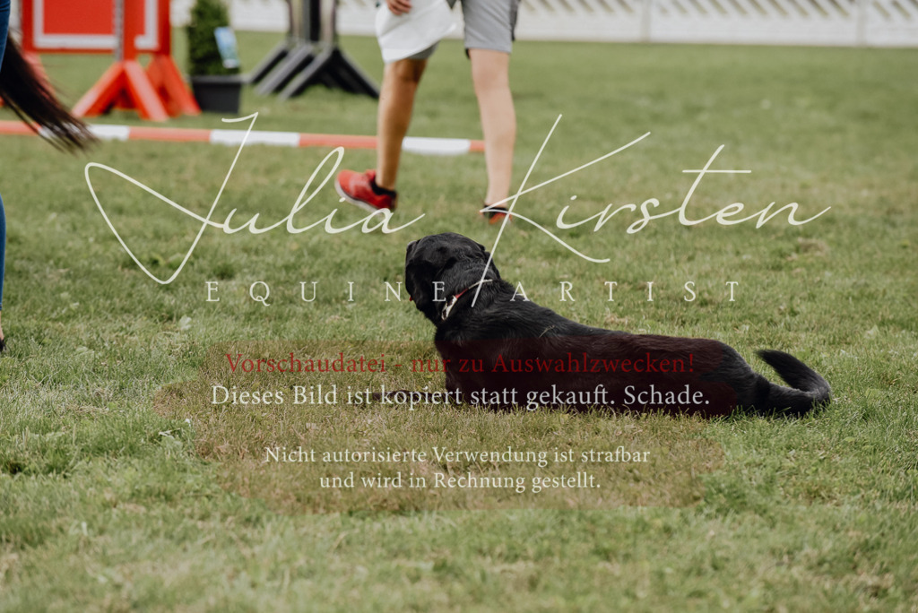 DSC_4020 | Pferde- und Turnierfotografie in Westsachsen. Pferdeportraits, Auftragszeichnungen und intuitive Kunst.