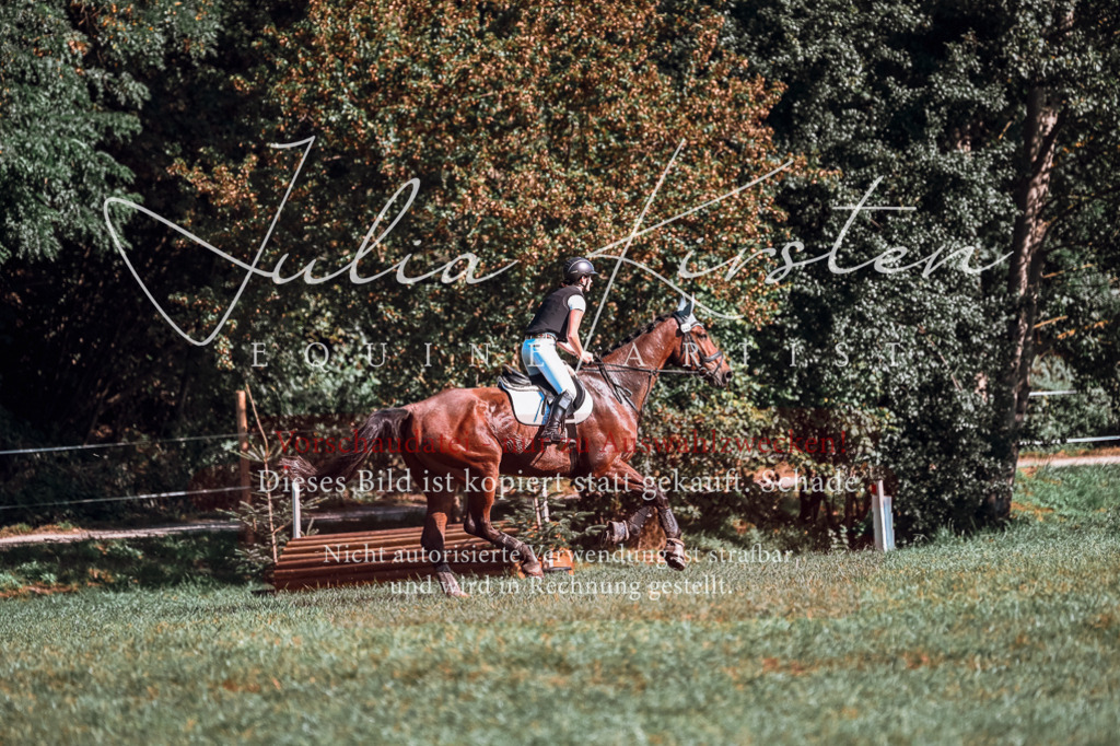 DSC_0992 | Pferde- und Turnierfotografie in Westsachsen. Pferdeportraits, Auftragszeichnungen und intuitive Kunst.