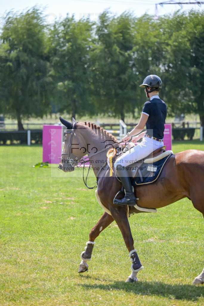 Reitturnier Voxtrup | Entdecke hochwertige Reitturnierfotos von Foto Oger. Professionell, emotional und authentisch – jetzt Lieblingsmomente im Shop bestellen.Deutschlandweite Turnierfotografie. - Realisiert mit Pictrs.com