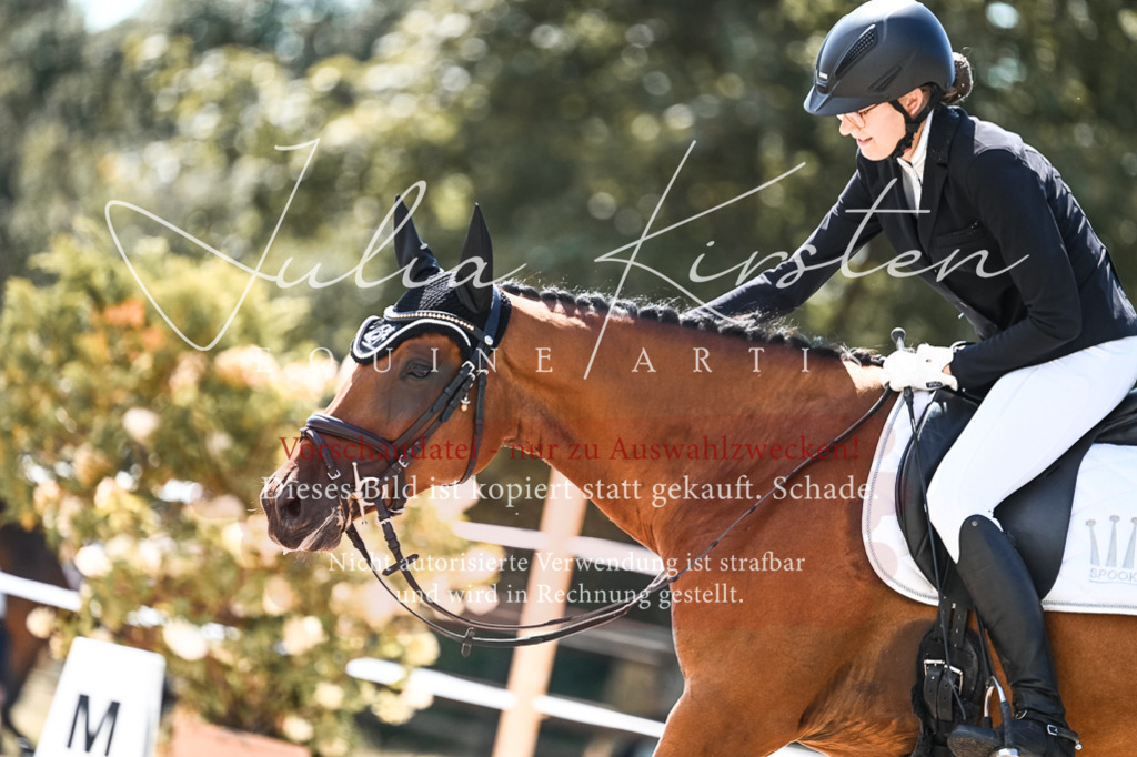 DSC_5511 | Pferde- und Turnierfotografie in Westsachsen. Pferdeportraits, Auftragszeichnungen und intuitive Kunst.