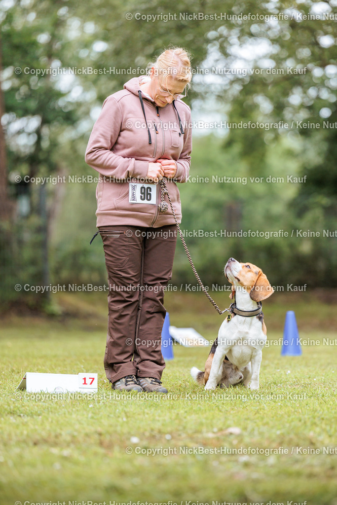 RO-Blumenthal-2026-Nickbest-Hundefotografie-4903 | Dein Hund! Dein Moment! Deine Erinnerungen! Hundefotografie in Bremen Blumenthal. Ich fange die besonderen Momente deines Vierbeiners ein – ob Indoor mit Blitzanlage oder in der freien Natur. Sicher dir dein Moment und dein Termin für eure Erinnerungen.