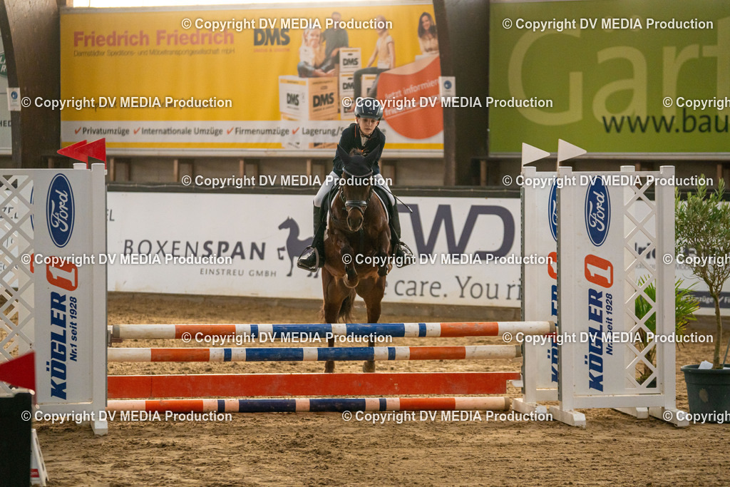 Kranichstein Tag 2-1111 | dv-media-shop - Realisiert mit Pictrs.com