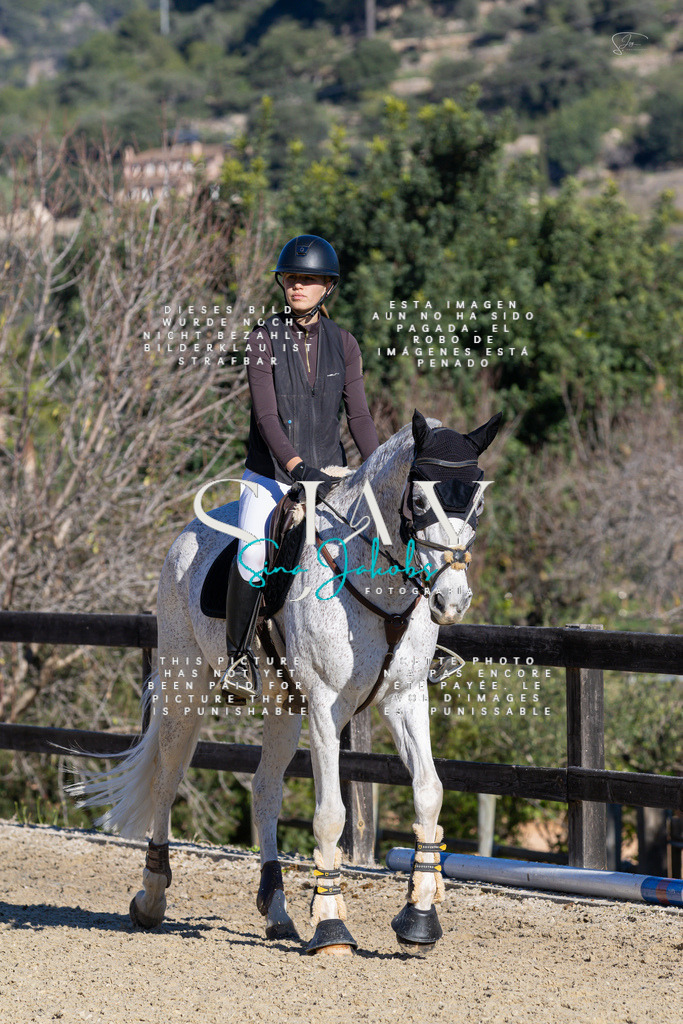 IMG_2165 | s-jay-photography - Realisiert mit Pictrs.com