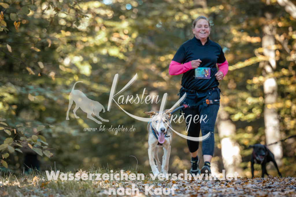 1029_ZZ90002 | kk-dogfotos
