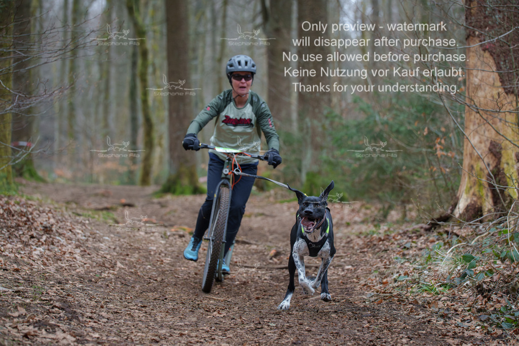 Scooter_So-73 | stephaniefillaphotographie - Realisiert mit Pictrs.com