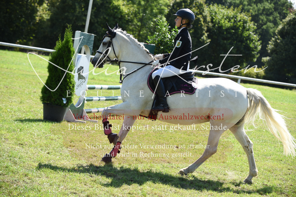 DSC_9477 | Pferde- und Turnierfotografie in Westsachsen. Pferdeportraits, Auftragszeichnungen und intuitive Kunst.