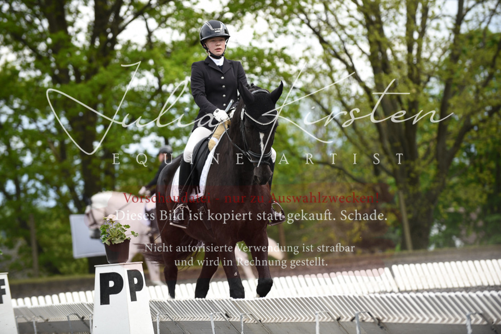 20230513_JK-Röhrsdorf-16-238 | Pferde- und Turnierfotografie in Westsachsen. Pferdeportraits, Auftragszeichnungen und intuitive Kunst.