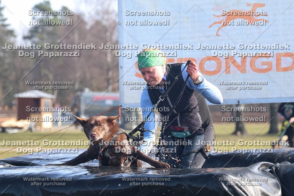Dog Paparazzi - Strongdog North Mrz26-1013 | Dog Paparazzi Jeanette Grottendiek Fotografie & Videografie - Realisiert mit Pictrs.com