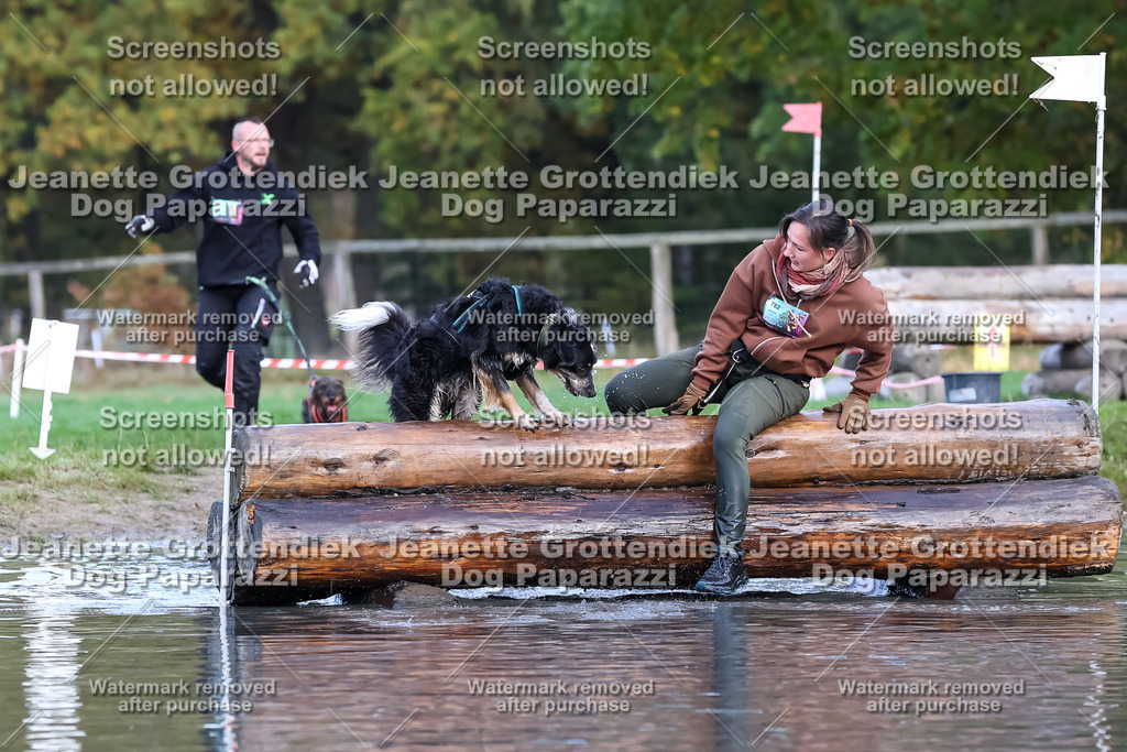 Dog Paparazzi - Strongdog 10-25-6934 | Dog Paparazzi Jeanette Grottendiek Fotografie & Videografie - Realisiert mit Pictrs.com