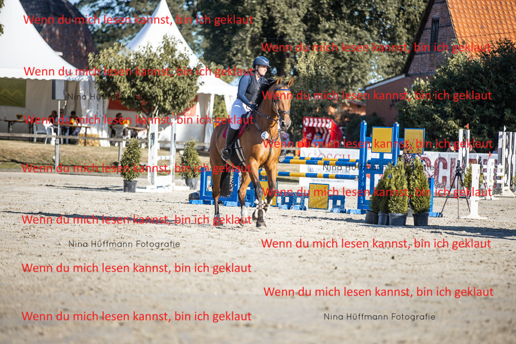 BK1A7666 | Turnierbilder Turnierfotos Nina Hüffmann Turnierfotografie Pferdefotografie Tierzeichnung Haustierzeichnung Pferdezeichnung Hundezeichnung Videograf  - Realisiert mit Pictrs.com