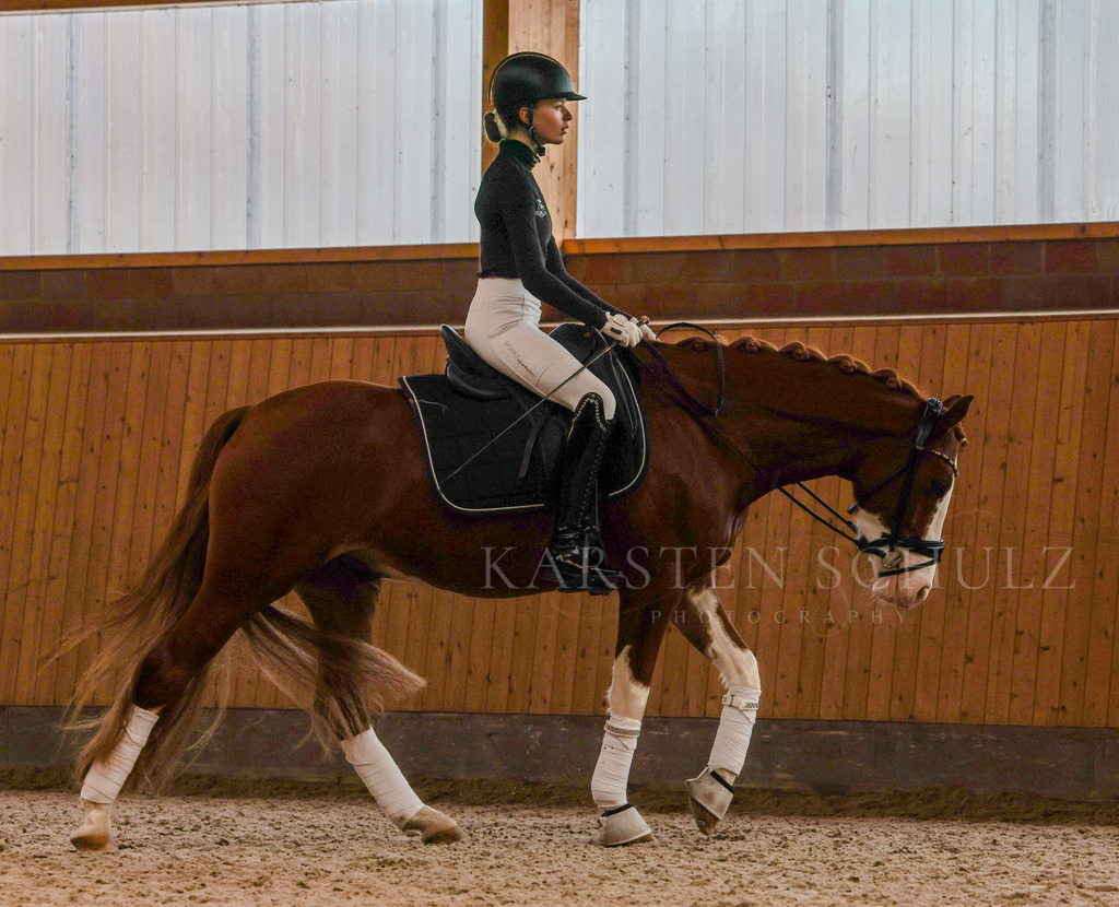 1B3A3204 | Karsten Schulz - Photography