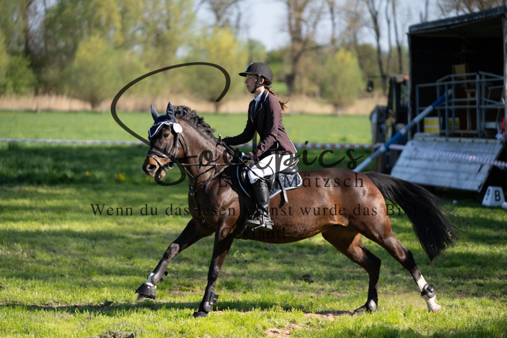 A7V01600 | Pferdefotograf