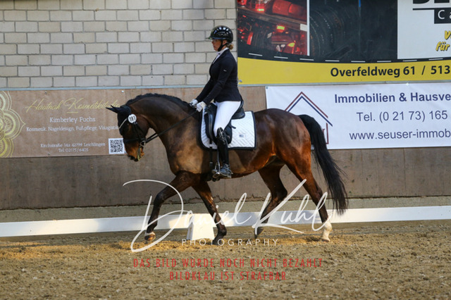 IMG_2580 | Turnierfotos kaufen im Webshop von Daniel Kuhl Photography – entdecke professionelle Reitsportfotos aus Turnieren & Events. Hochwertige Turnierbilder online bestellen & sichern. Jetzt Fotos von Reitsportturnieren kaufen!
