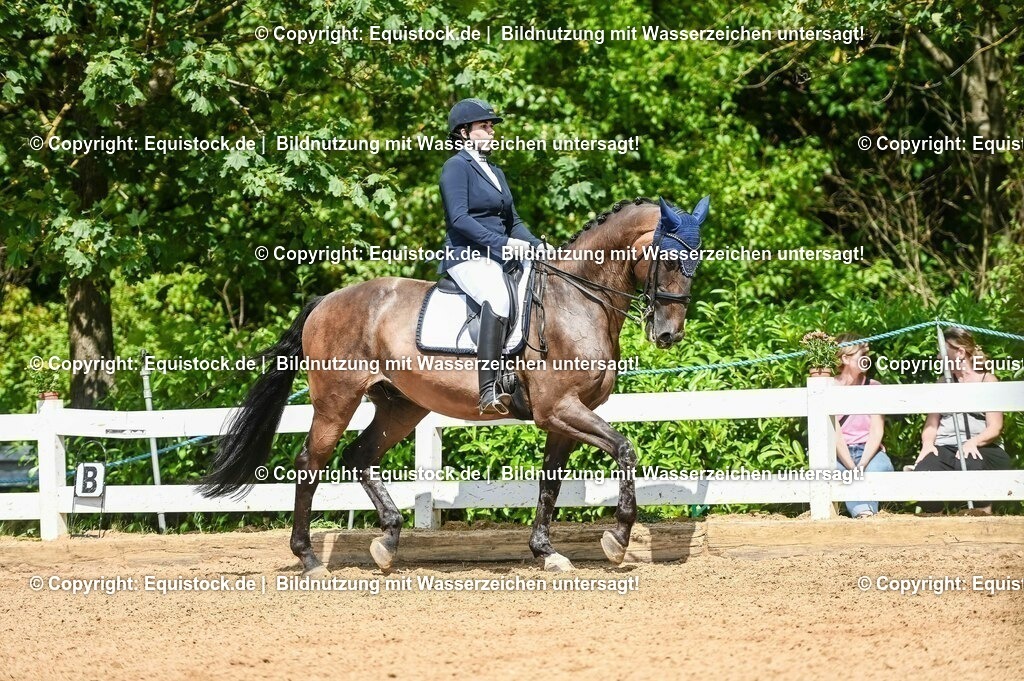 20230716_01_Dressurprüfung Kl.M_0284 | equistock