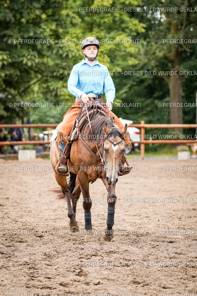 DSC08154 | Pferdegrafie