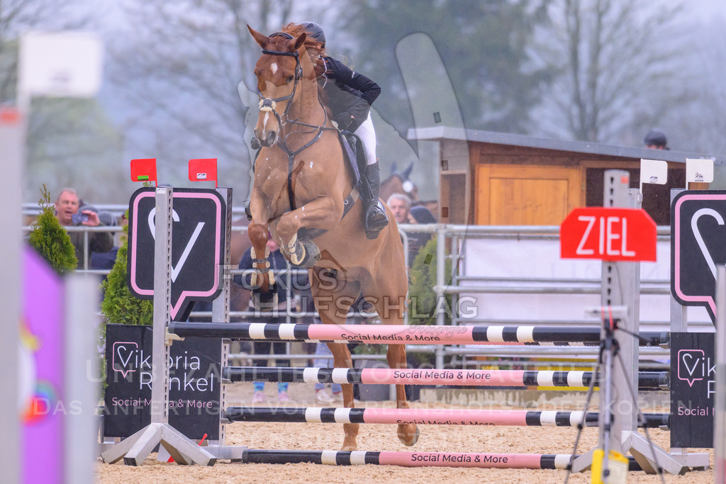 10042026-Mammendorf-Prfg14-0258 | Fokus Hufschlag Fotografie - Realisiert mit Pictrs.com