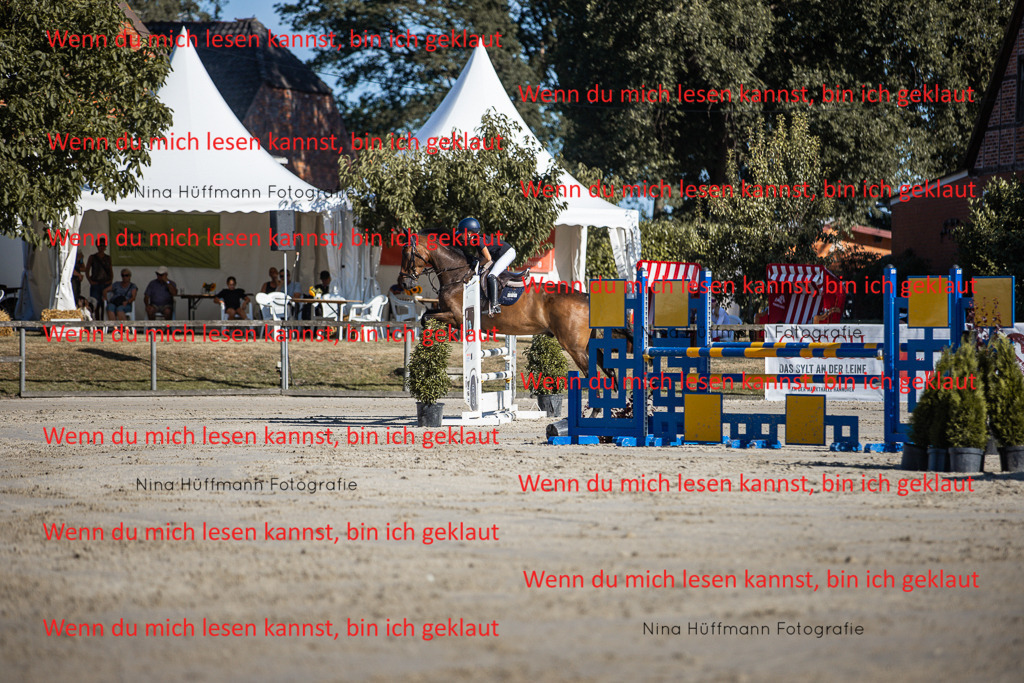 BK1A7440 | Turnierbilder Turnierfotos Nina Hüffmann Turnierfotografie Pferdefotografie Tierzeichnung Haustierzeichnung Pferdezeichnung Hundezeichnung Videograf  - Realisiert mit Pictrs.com