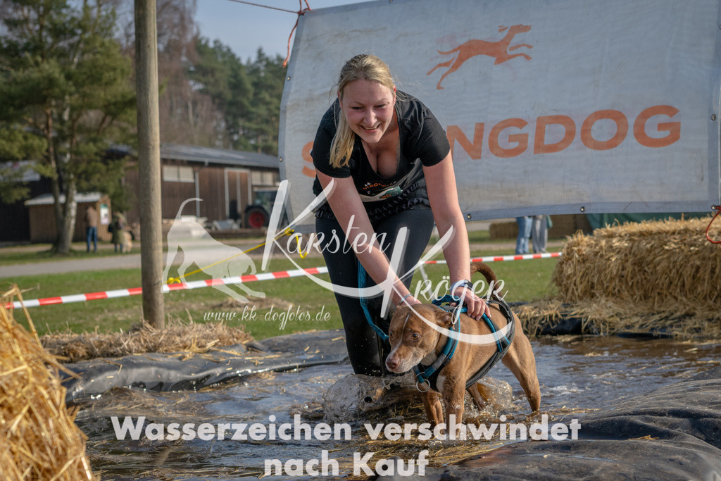 _ZZ94721 | kk-dogfotos