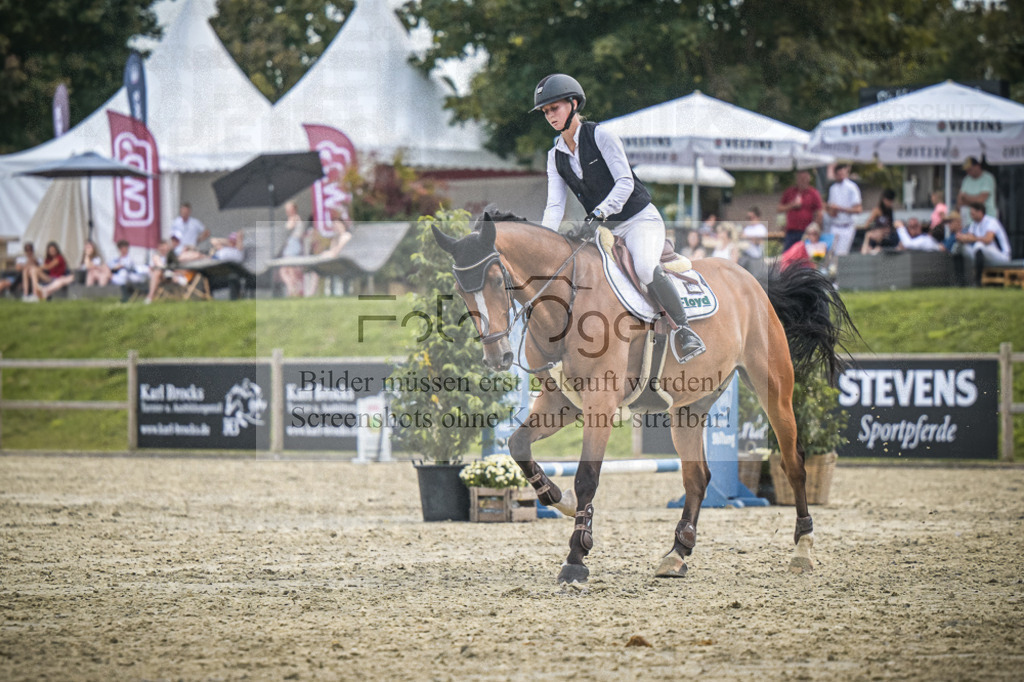 DOS_1581 | Entdecke hochwertige Reitturnierfotos von Foto Oger. Professionell, emotional und authentisch – jetzt Lieblingsmomente im Shop bestellen.Deutschlandweite Turnierfotografie. - Realisiert mit Pictrs.com