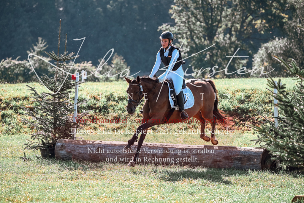 DSC_0668 | Pferde- und Turnierfotografie in Westsachsen. Pferdeportraits, Auftragszeichnungen und intuitive Kunst.