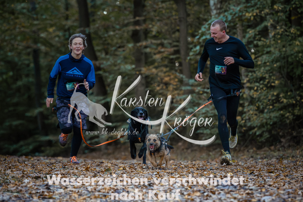 0904_ZZ96965 | kk-dogfotos