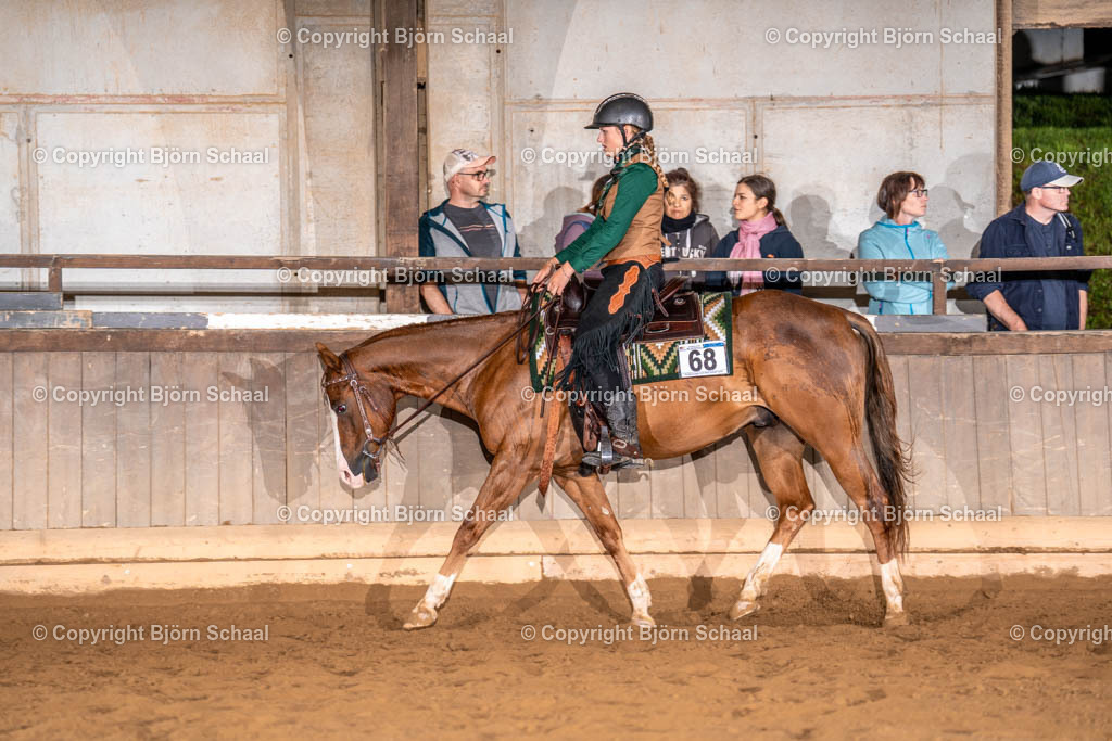 LMS00910 | BS-foto