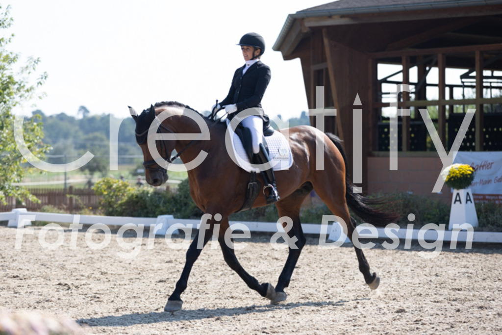 IMG_4083 | Creatify Fotografie